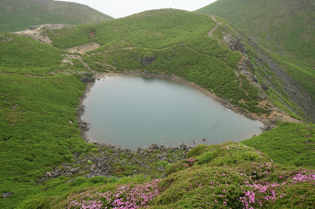 f:id:poQQun:20190618221600j:plain