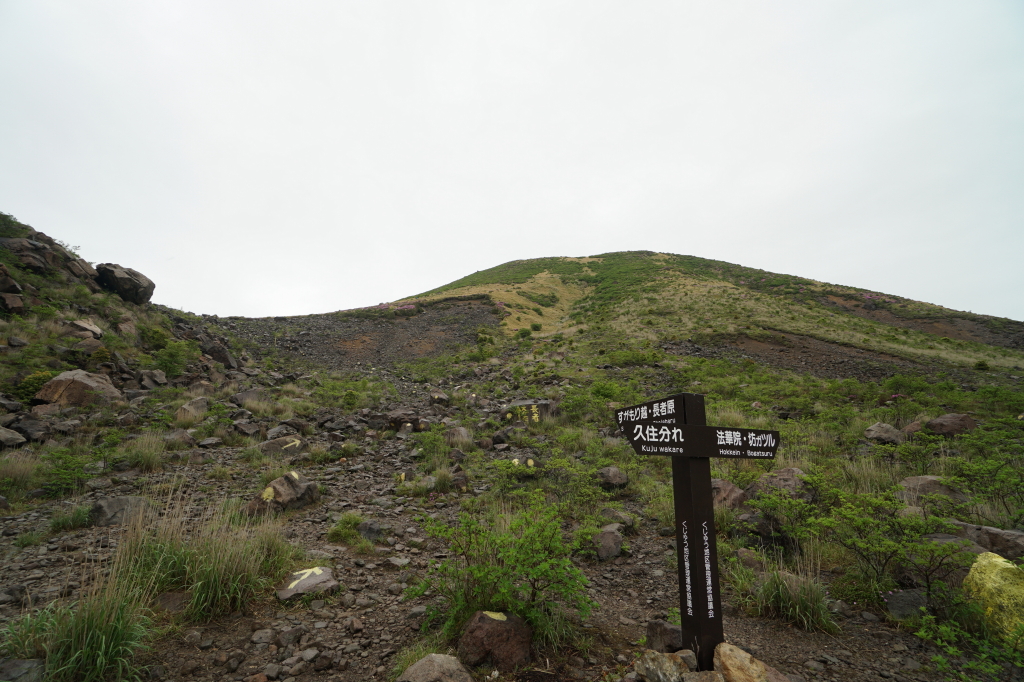 f:id:poQQun:20190618222628j:plain