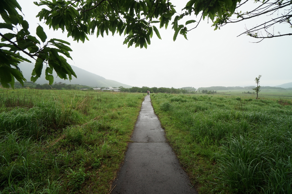 f:id:poQQun:20190618223210j:plain