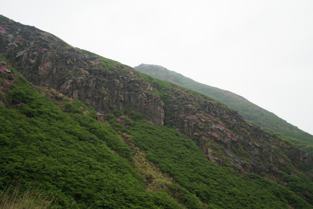 f:id:poQQun:20190618230634j:plain