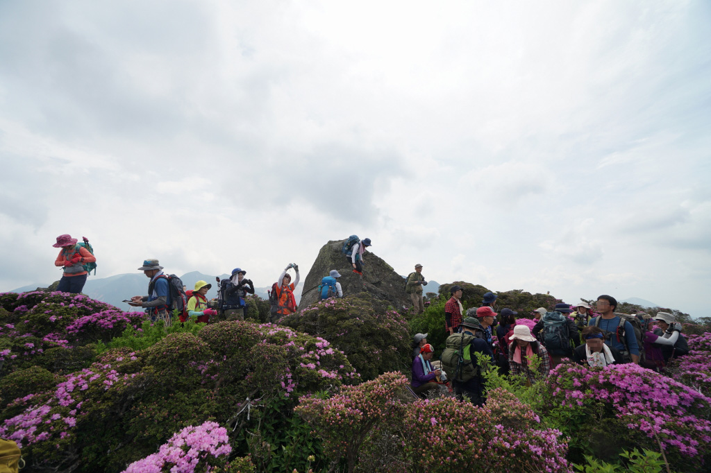 f:id:poQQun:20190620204346j:plain