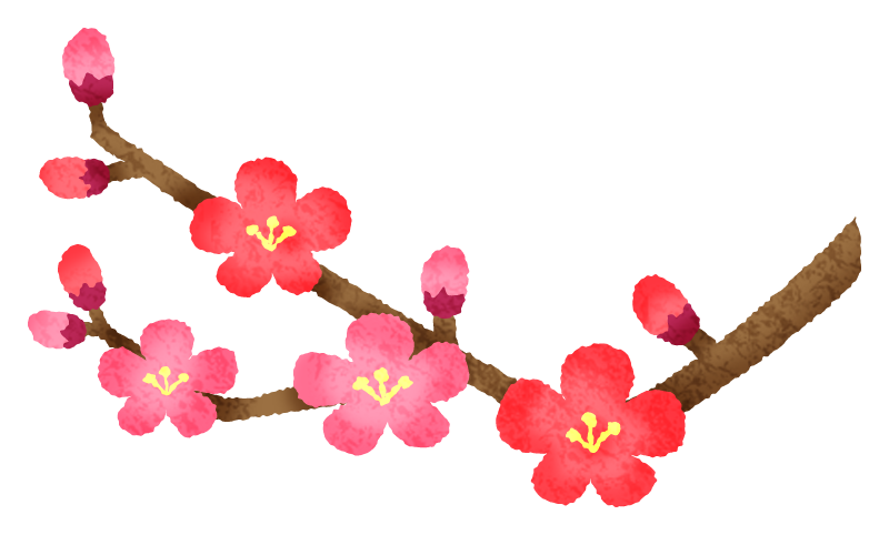 梅の香り