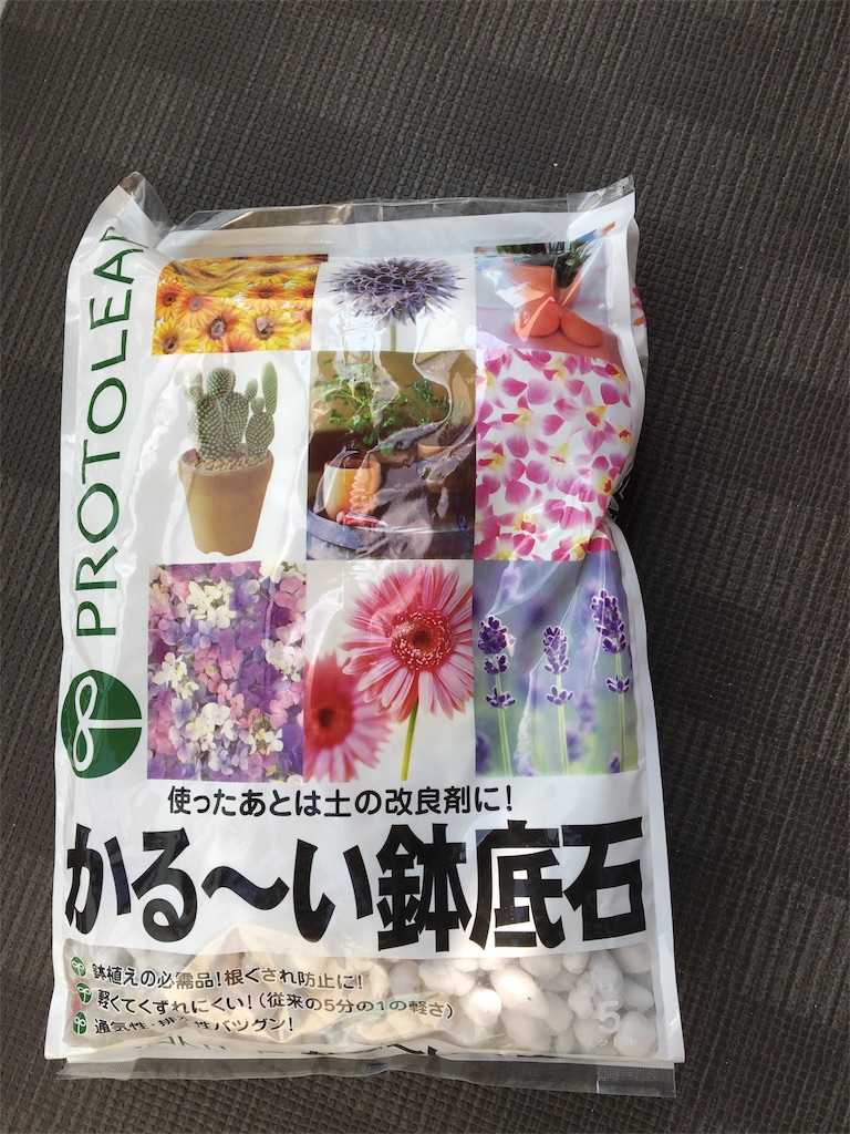 f:id:poalgarden87:20170121111002j:image f:id:poalgarden87:20170121111002j:image