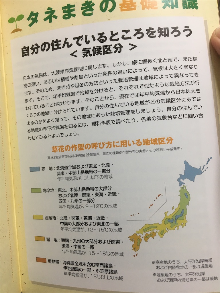 大阪って 亜熱帯 ベランダの小さなパラダイス