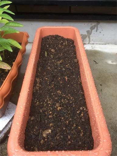 f:id:poalgarden87:20191123113147j:image f:id:poalgarden87:20191123113147j:image