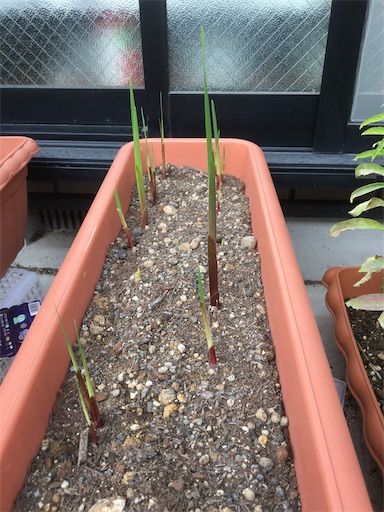 f:id:poalgarden87:20191211151541j:image f:id:poalgarden87:20191211151541j:image