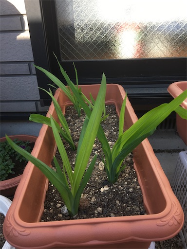 f:id:poalgarden87:20191212144127j:image f:id:poalgarden87:20191212144127j:image