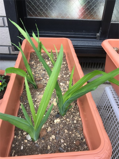 f:id:poalgarden87:20191212144143j:image f:id:poalgarden87:20191212144143j:image