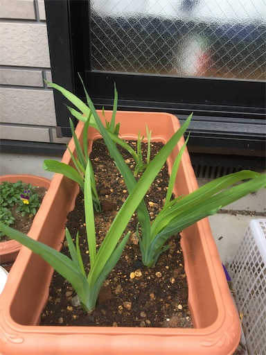 f:id:poalgarden87:20191216091836j:image f:id:poalgarden87:20191216091836j:image