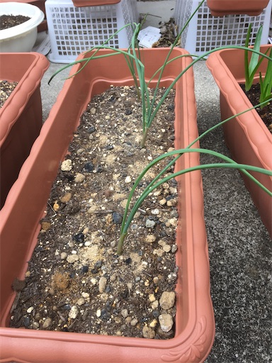 f:id:poalgarden87:20191218083417j:image f:id:poalgarden87:20191218083417j:image