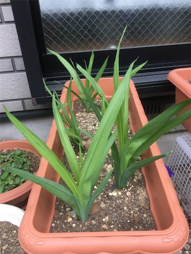 f:id:poalgarden87:20191227212717j:image f:id:poalgarden87:20191227212717j:image