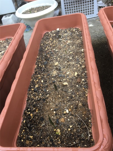 f:id:poalgarden87:20191228101036j:image f:id:poalgarden87:20191228101036j:image