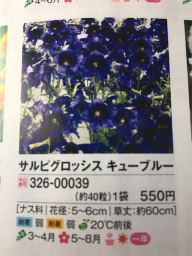 f:id:poalgarden87:20200402094448j:image f:id:poalgarden87:20200402094448j:image