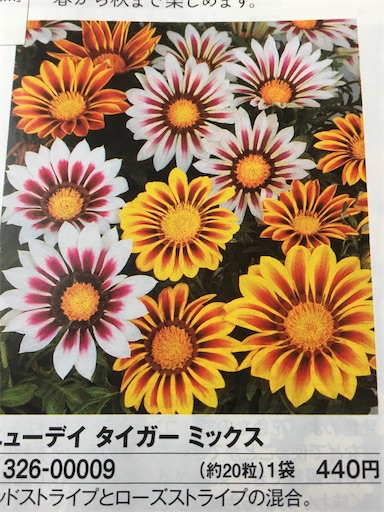 f:id:poalgarden87:20200402094642j:image f:id:poalgarden87:20200402094642j:image