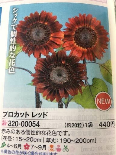 f:id:poalgarden87:20200402094945j:image f:id:poalgarden87:20200402094945j:image