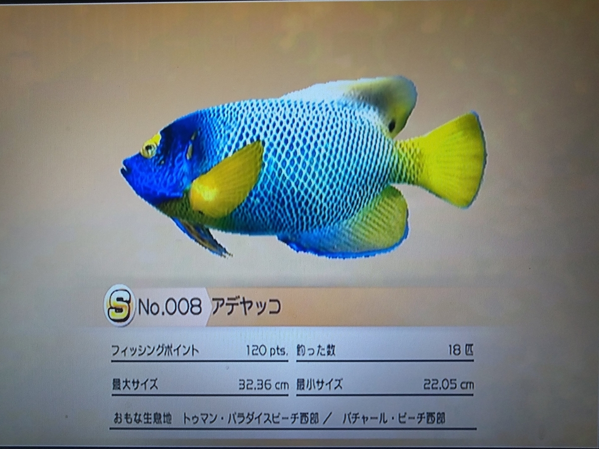 ファミリーフィッシング トゥマン・パラダイスビーチ【ファミリーフィッシング めざせS
