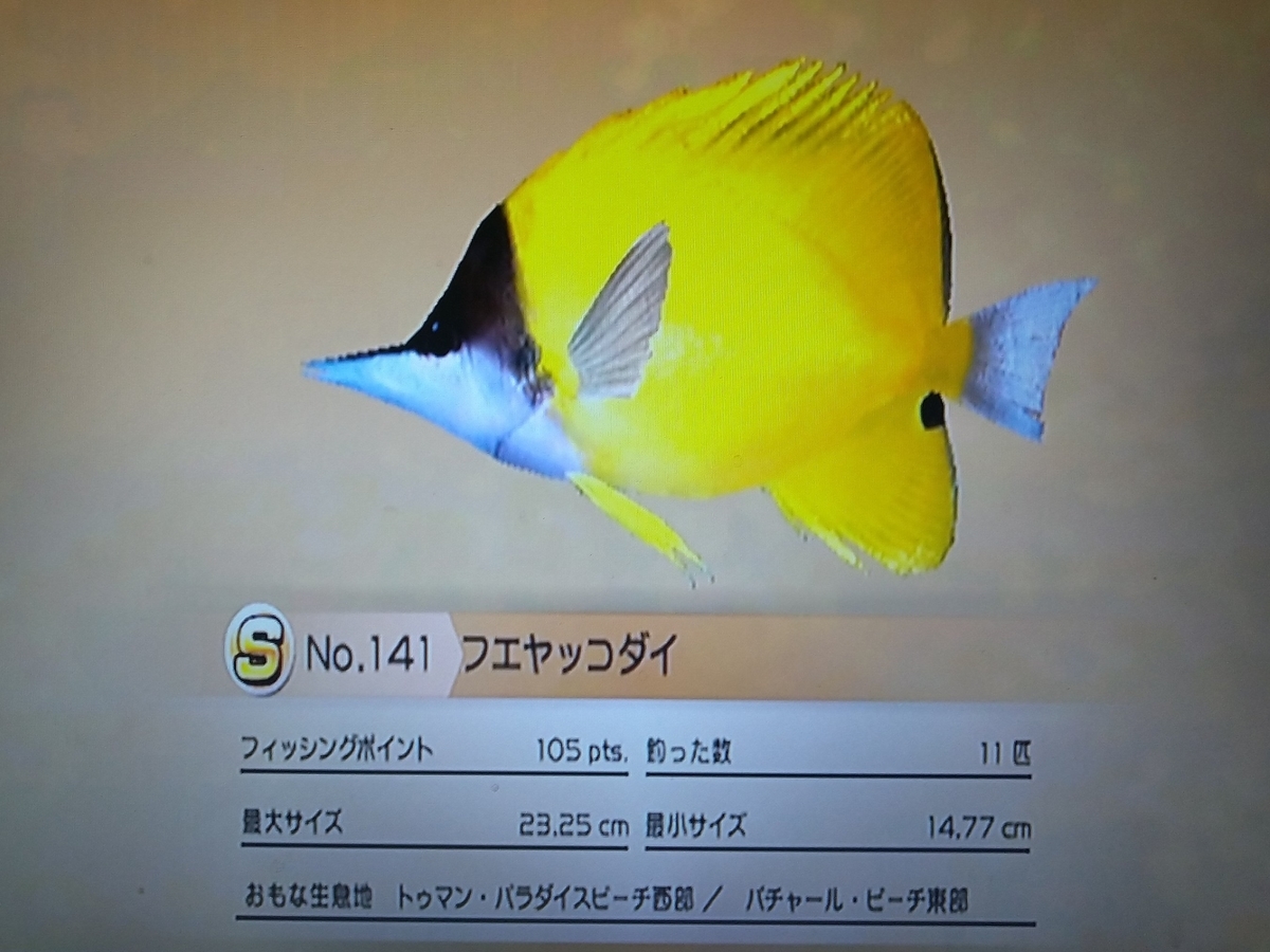 ポコモン中立進化説