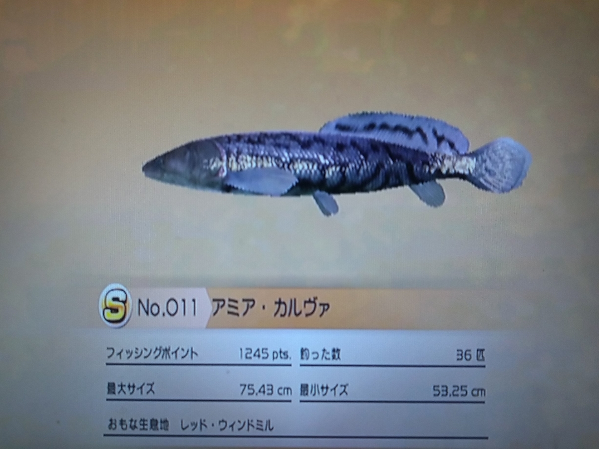 f:id:pocchikun0304:20210204003128j:plain