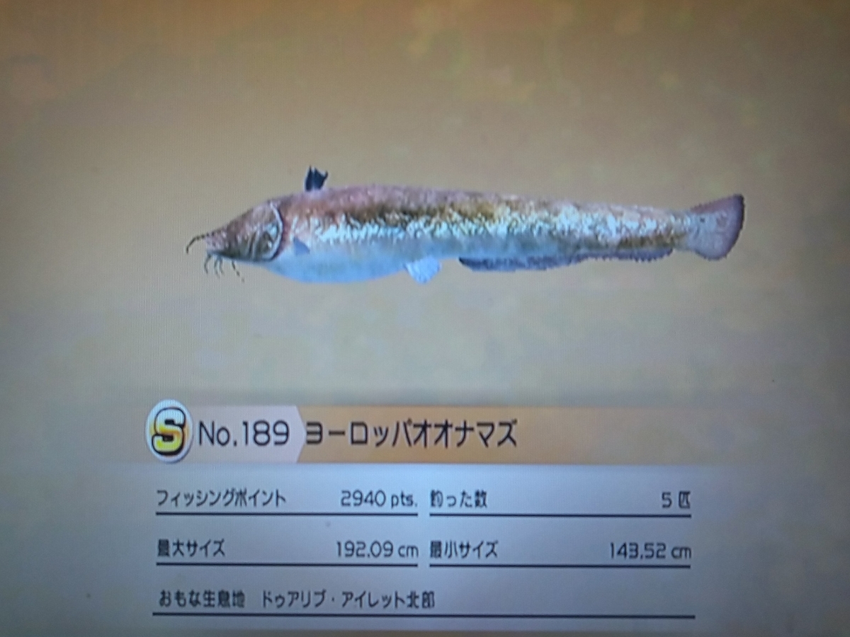 f:id:pocchikun0304:20210204003630j:plain