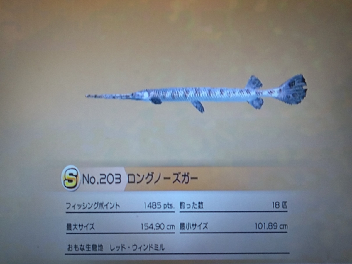 f:id:pocchikun0304:20210204004131j:plain