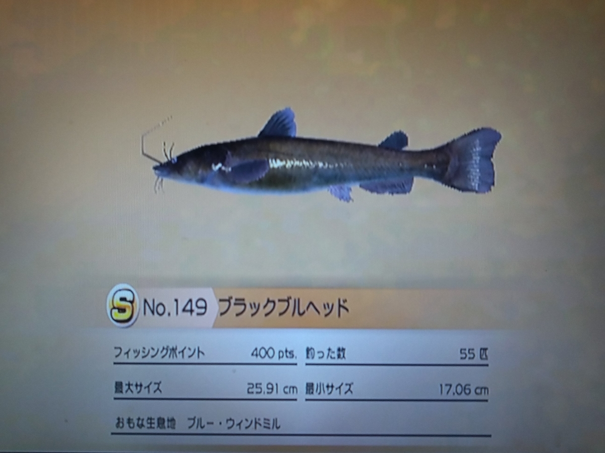 f:id:pocchikun0304:20210204085136j:plain