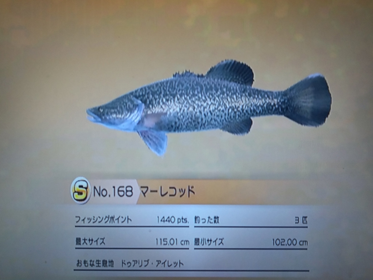 f:id:pocchikun0304:20210204085611j:plain