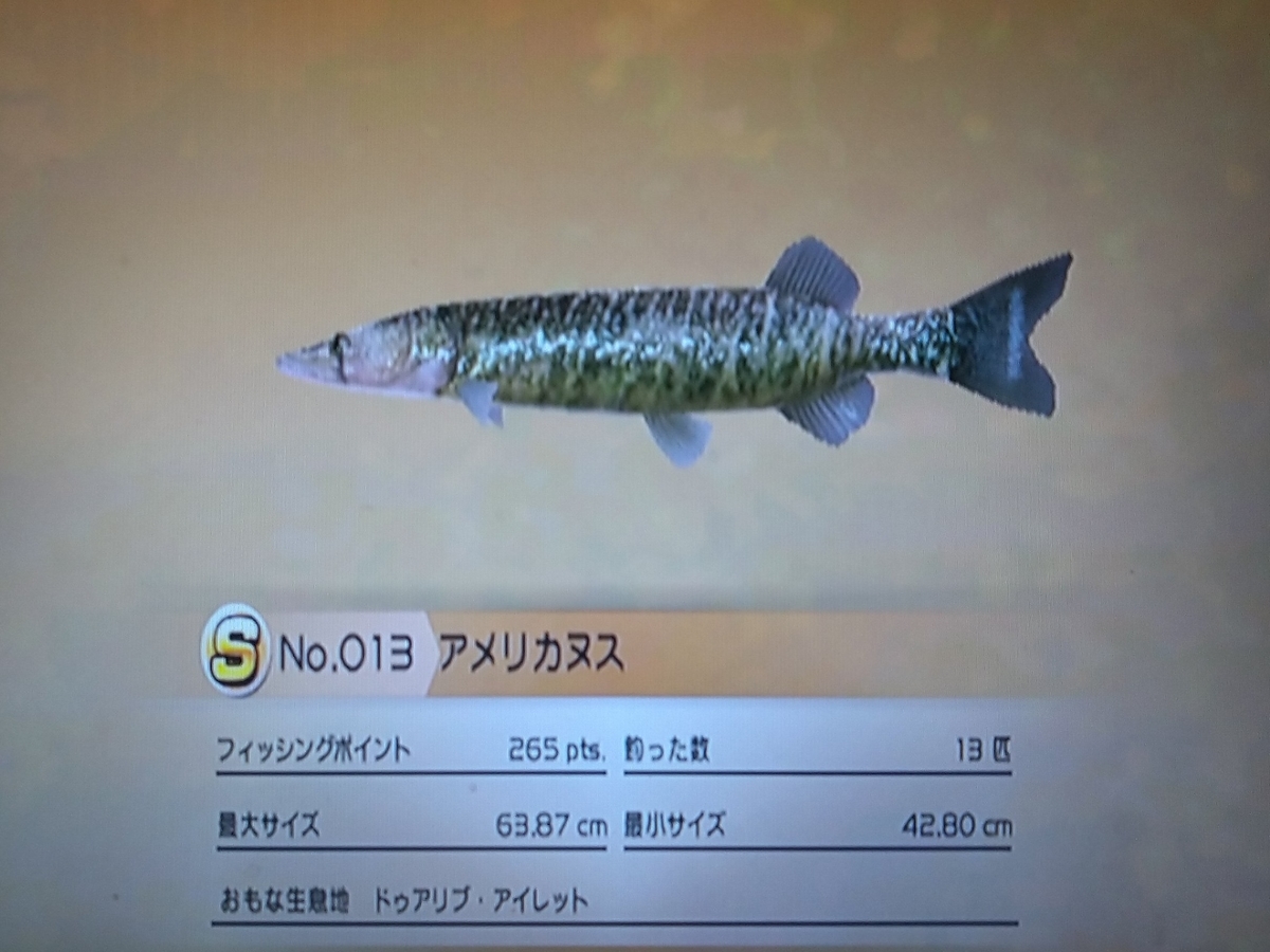 f:id:pocchikun0304:20210204090736j:plain