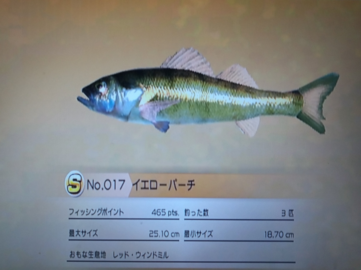 f:id:pocchikun0304:20210204091101j:plain