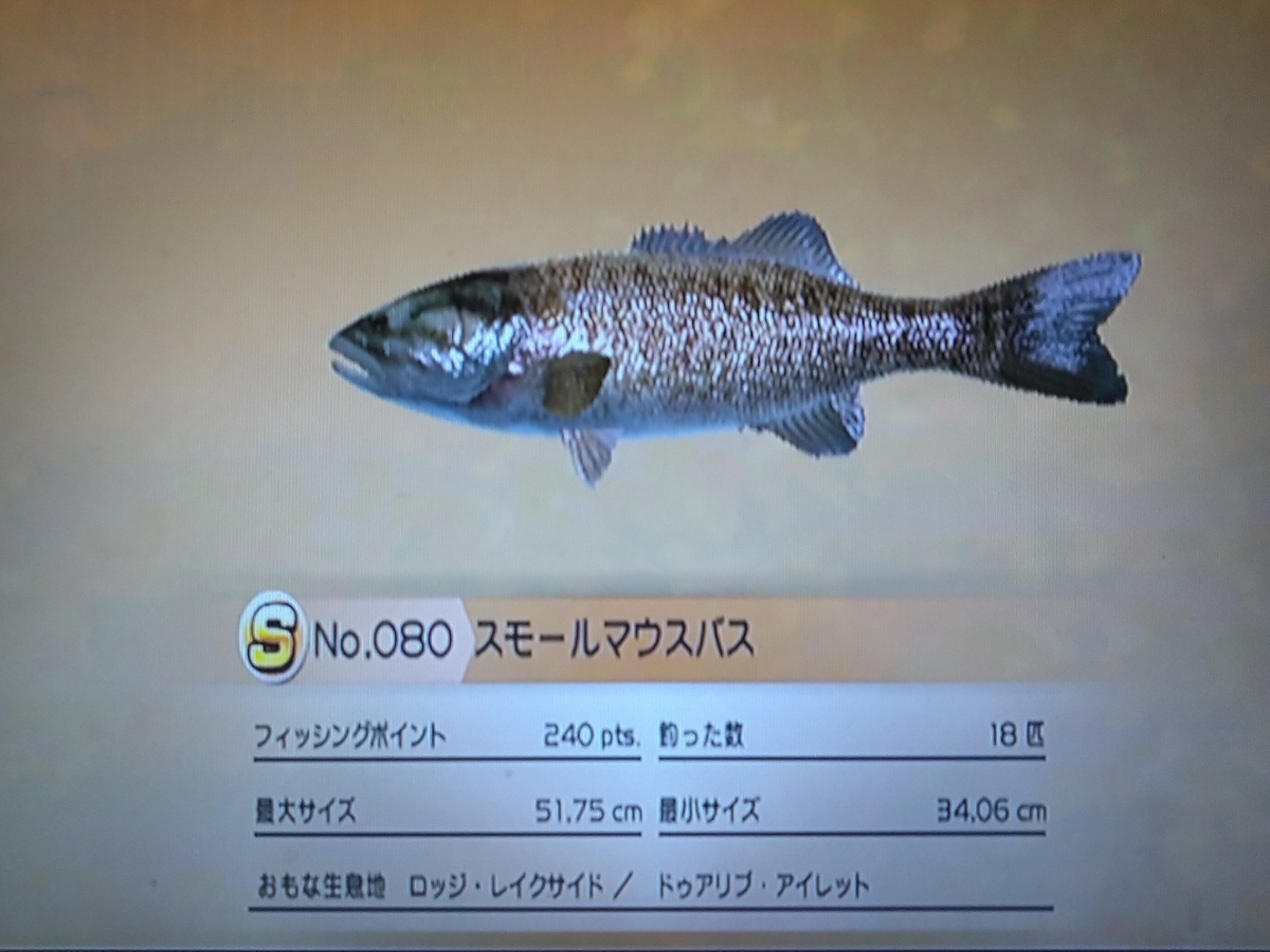 f:id:pocchikun0304:20210204093529j:plain