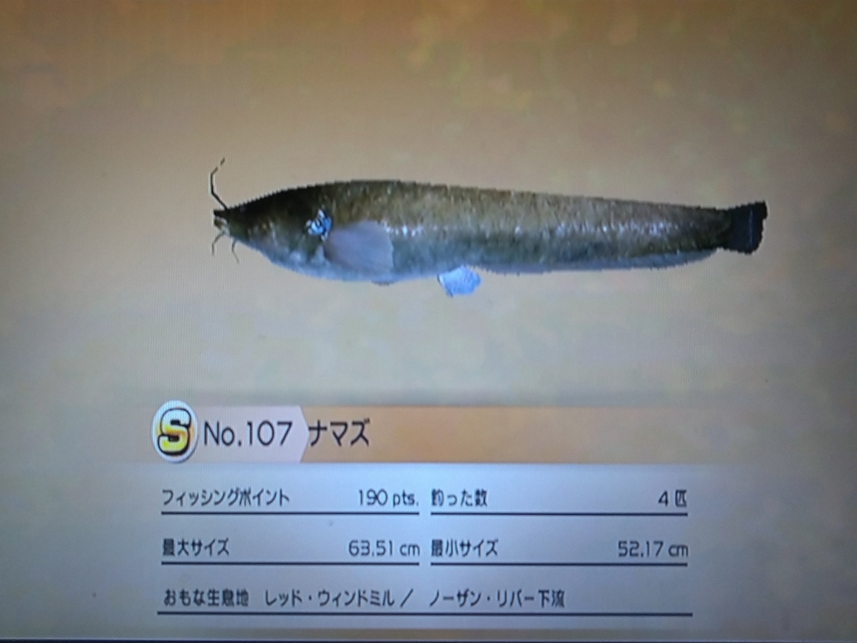 f:id:pocchikun0304:20210204093905j:plain