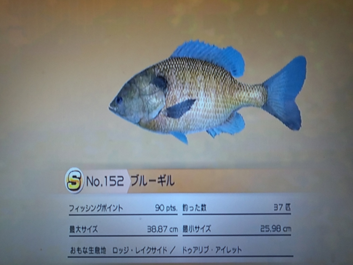 f:id:pocchikun0304:20210204094422j:plain