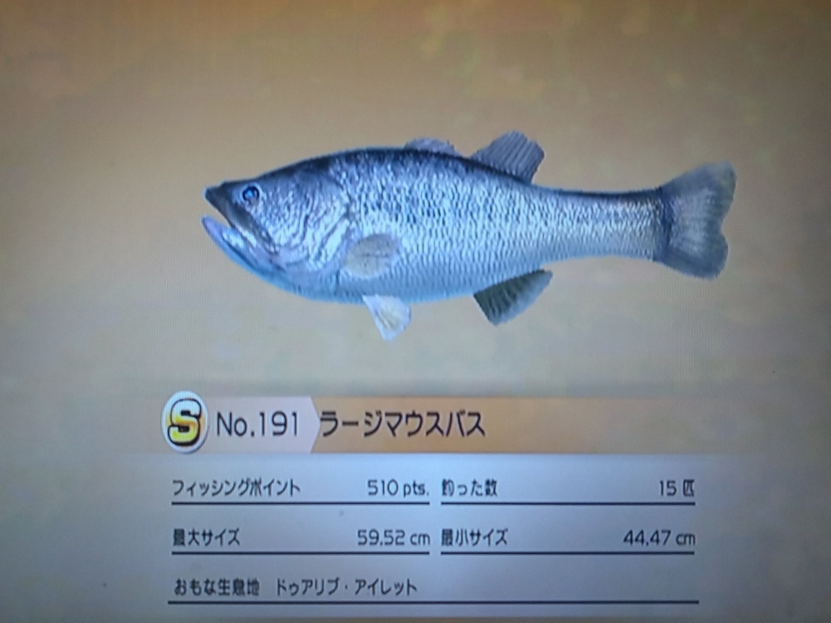 f:id:pocchikun0304:20210204094628j:plain