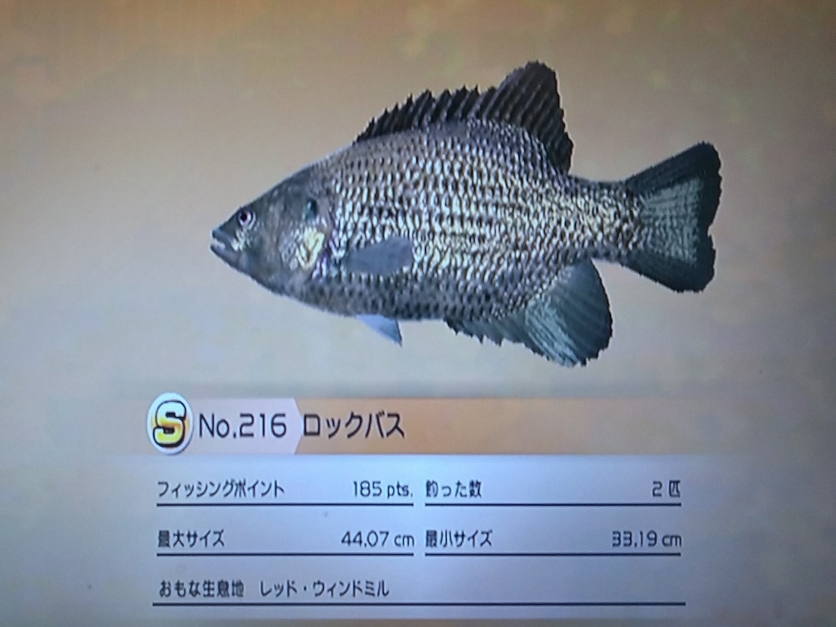 f:id:pocchikun0304:20210204094837j:plain