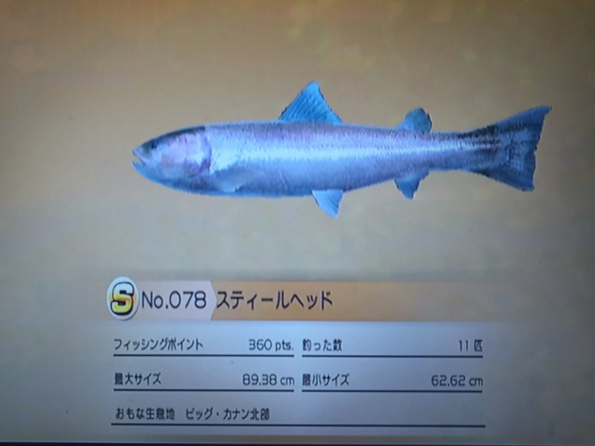 f:id:pocchikun0304:20210204153459j:plain