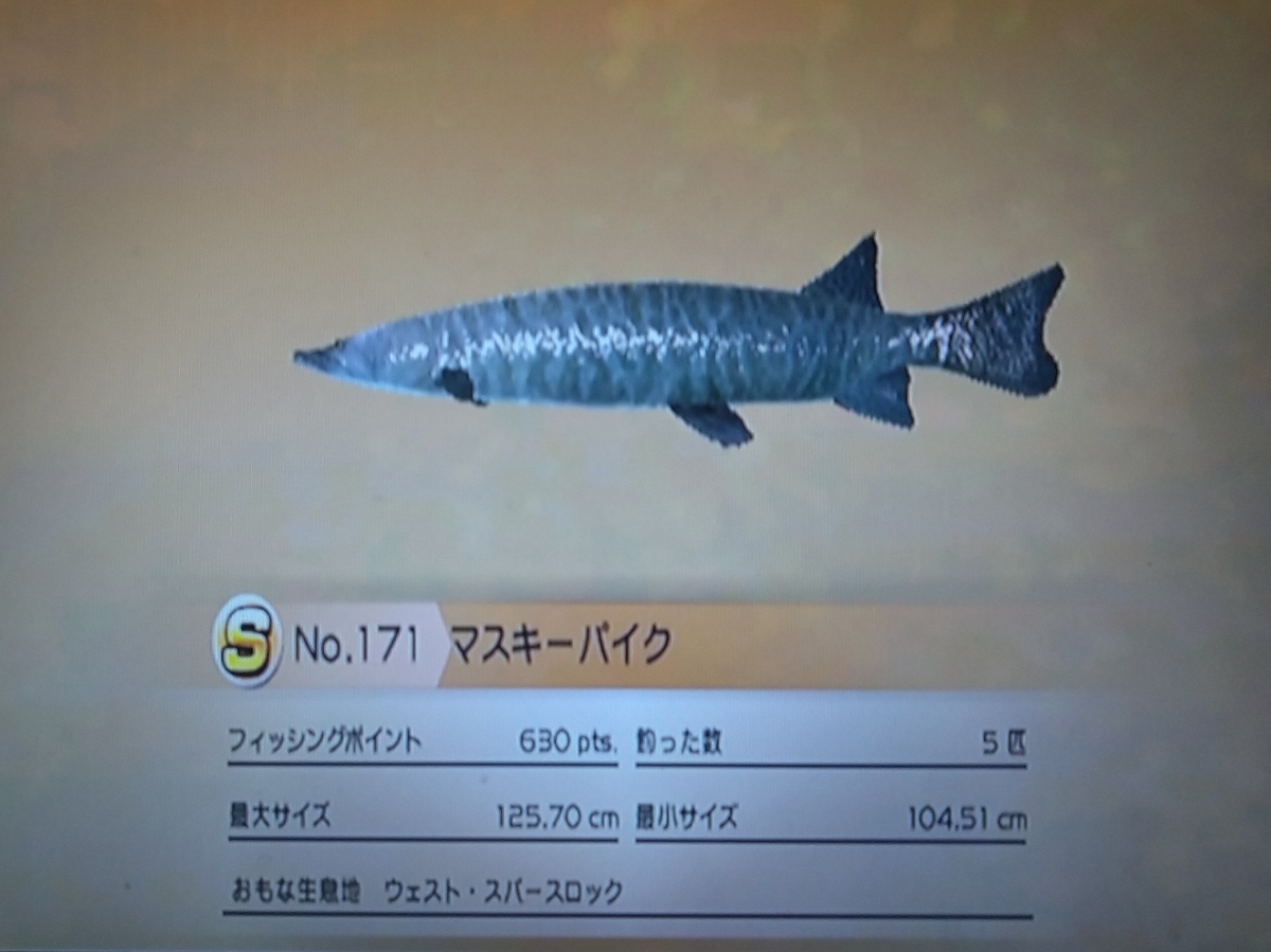 f:id:pocchikun0304:20210204154113j:plain