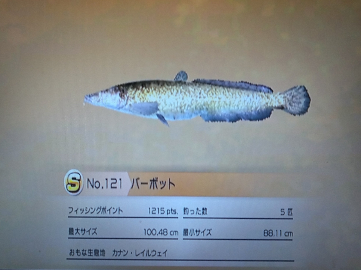 f:id:pocchikun0304:20210204161333j:plain