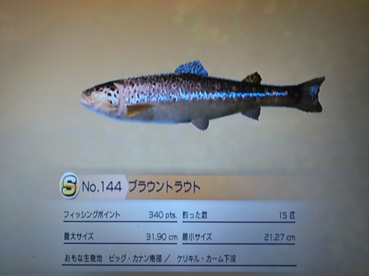 f:id:pocchikun0304:20210204161556j:plain