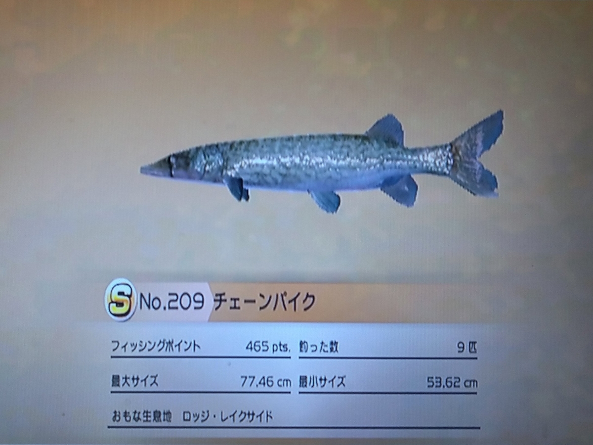 f:id:pocchikun0304:20210204162229j:plain