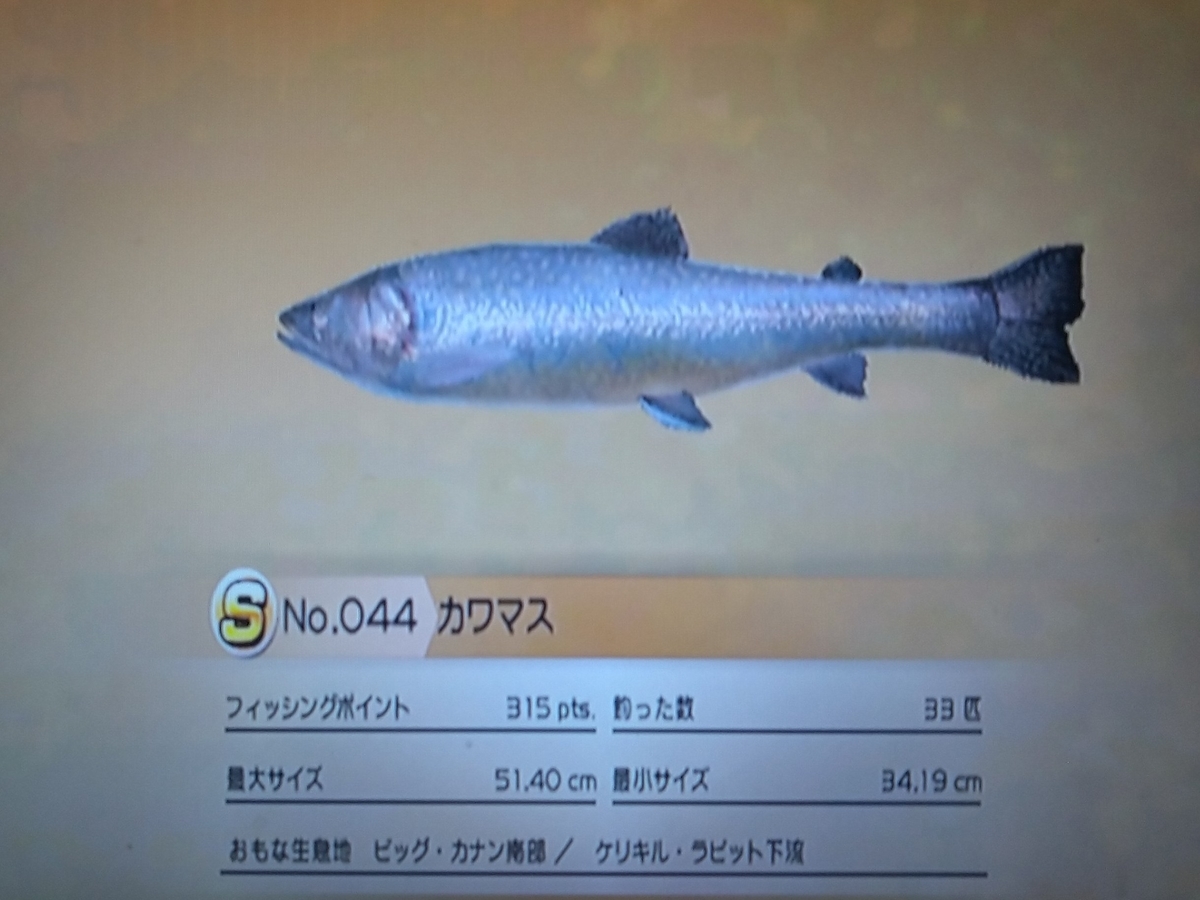 f:id:pocchikun0304:20210204162545j:plain