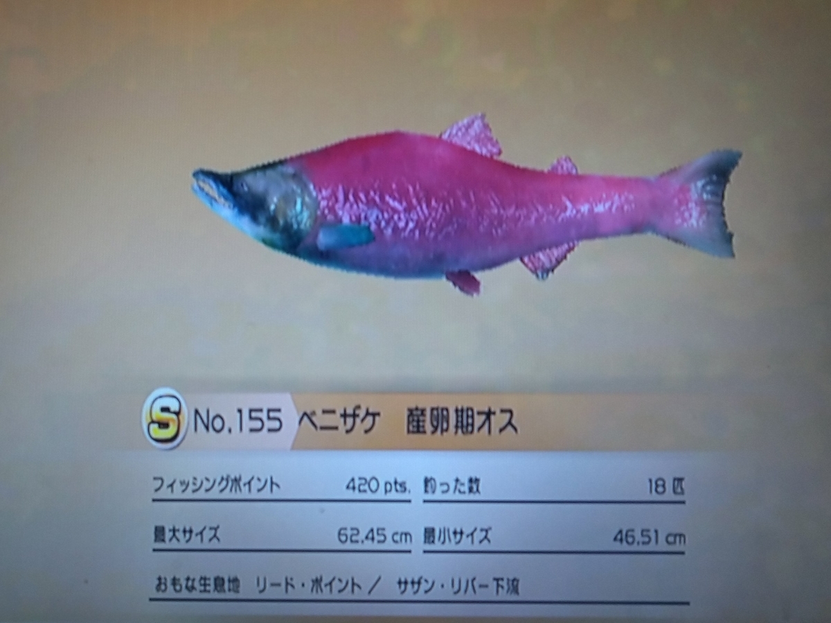 f:id:pocchikun0304:20210204163702j:plain