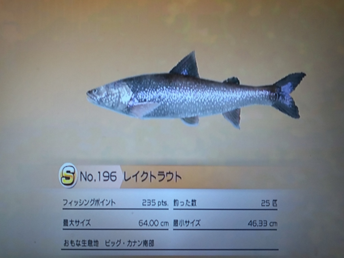 f:id:pocchikun0304:20210204163955j:plain