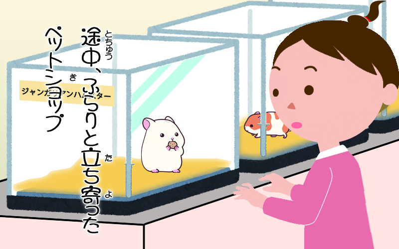 f:id:poccochan:20191125190915j:plain