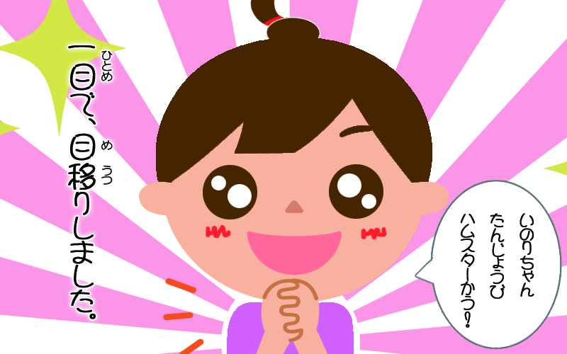 f:id:poccochan:20191126141515j:plain