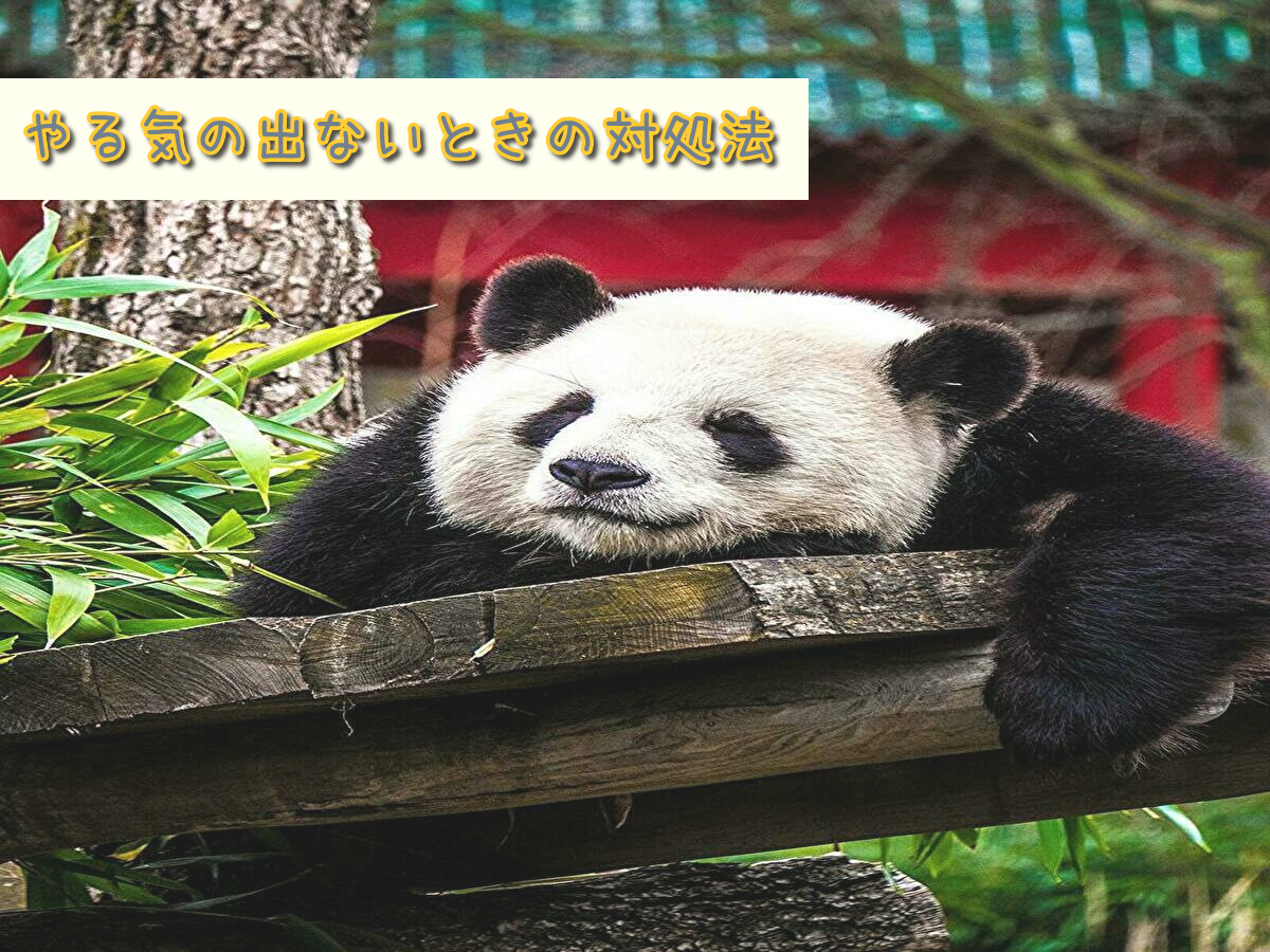 f:id:pochausa:20210518220759p:plain