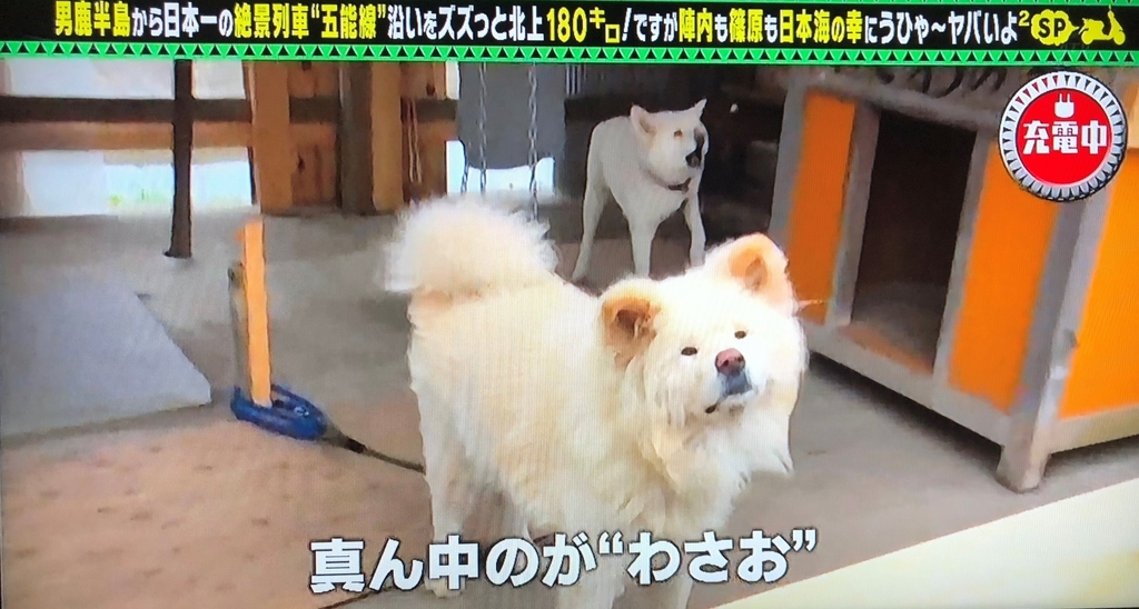 f:id:pochi-1129-pesu:20180910125111j:plain f:id:pochi-1129-pesu:20180910125111j:plain