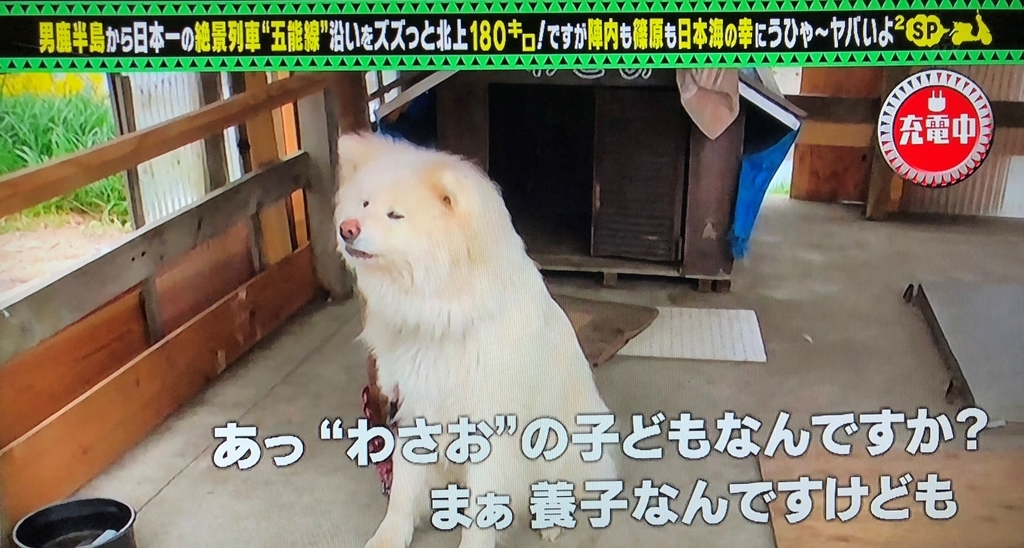 f:id:pochi-1129-pesu:20180910125736j:plain f:id:pochi-1129-pesu:20180910125736j:plain