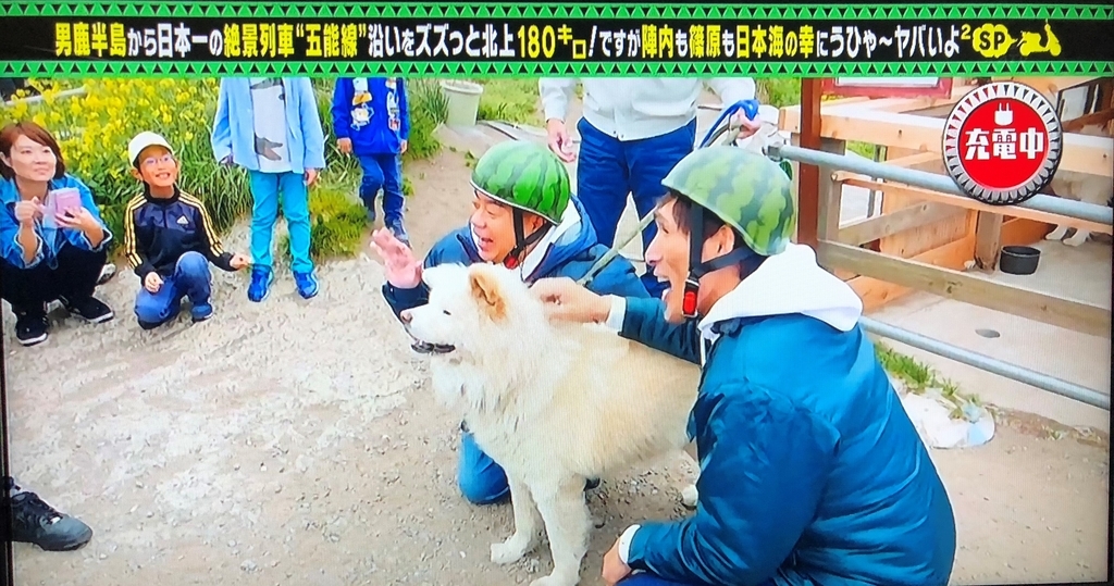 f:id:pochi-1129-pesu:20180910130227j:plain f:id:pochi-1129-pesu:20180910130227j:plain