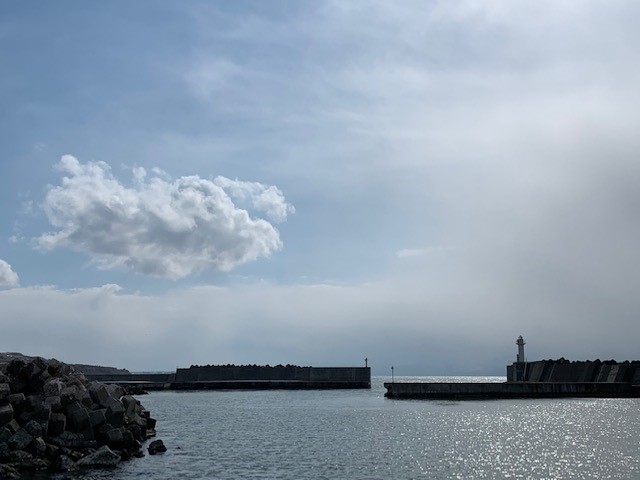 f:id:pochi-2n2n:20200314160601j:plain