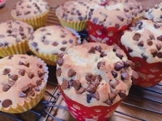 f:id:pochi-2n2n:20200331174226j:plain