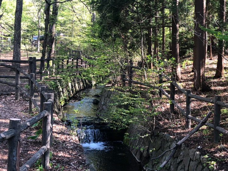 f:id:pochi-2n2n:20200609121237j:plain